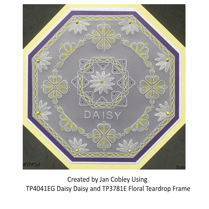 TP4041EG Daisy Daisy JC