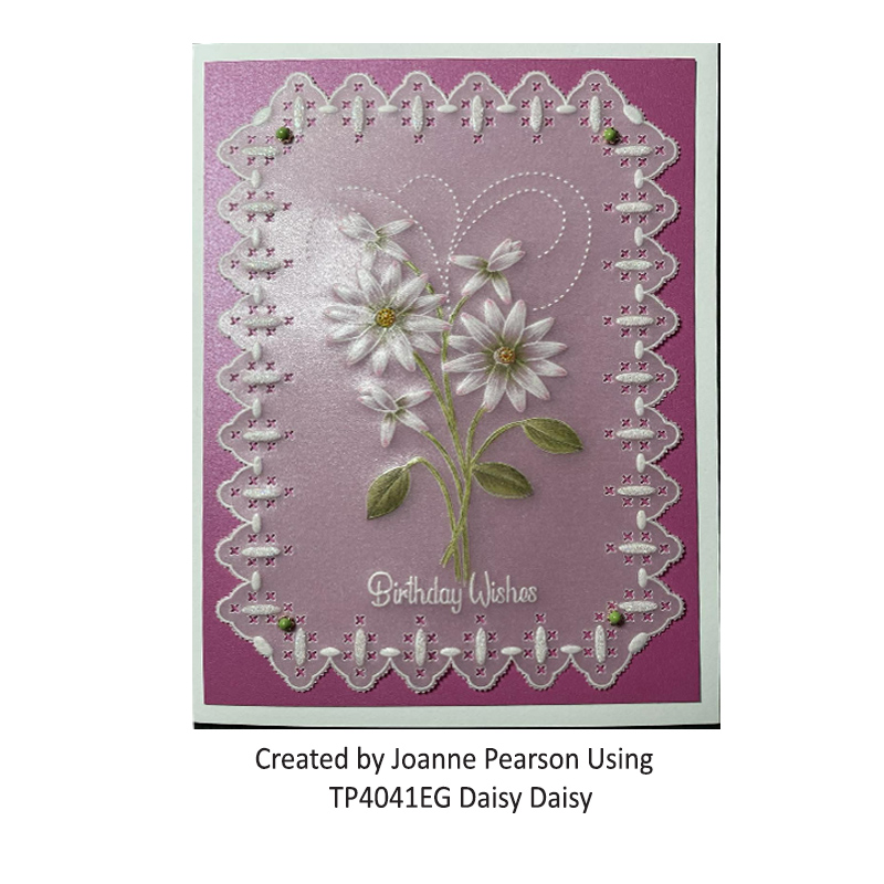 TP4041EG Daisy Daisy JP 1