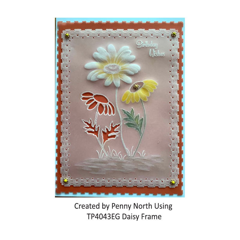 TP4043EG Daisy Frame PN 1