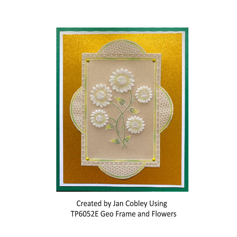 TP6054E Geo Frame and Flowers JC 1