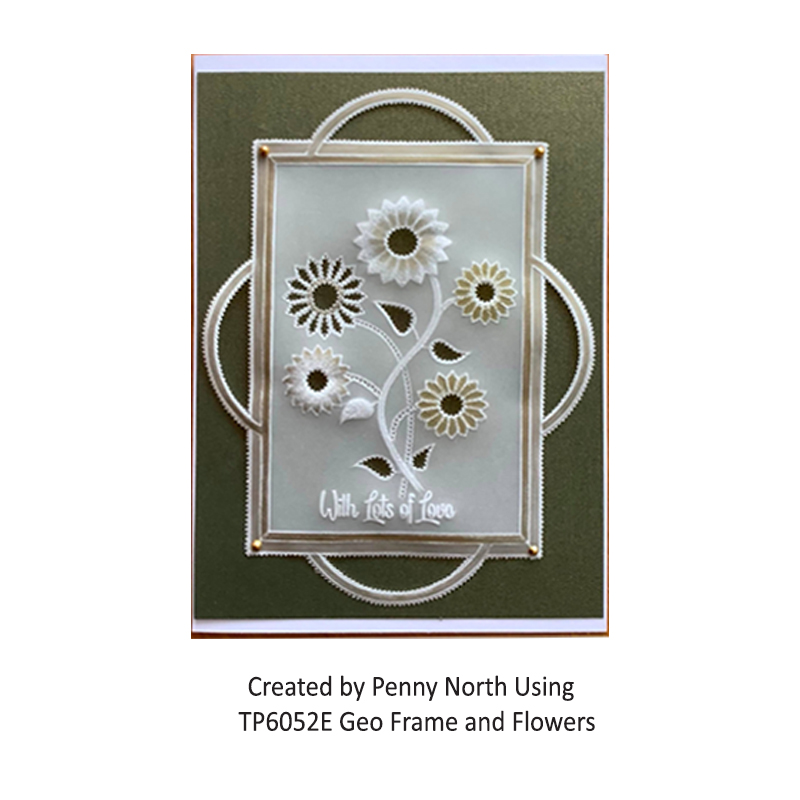 TP6054E Geo Frame and Flowers PN 1