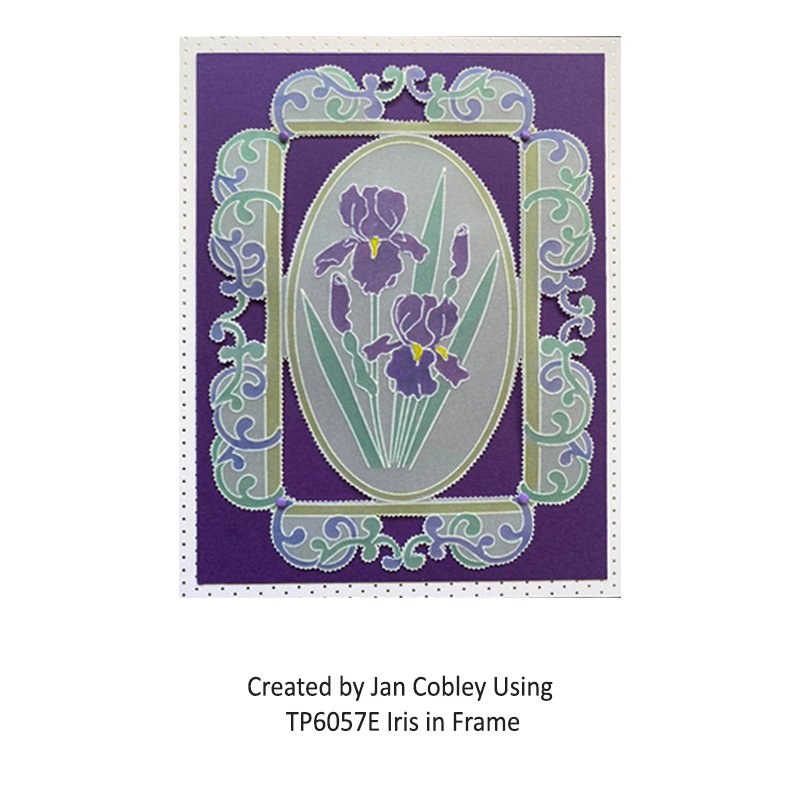 TP6057E Iris in Frame JC 1