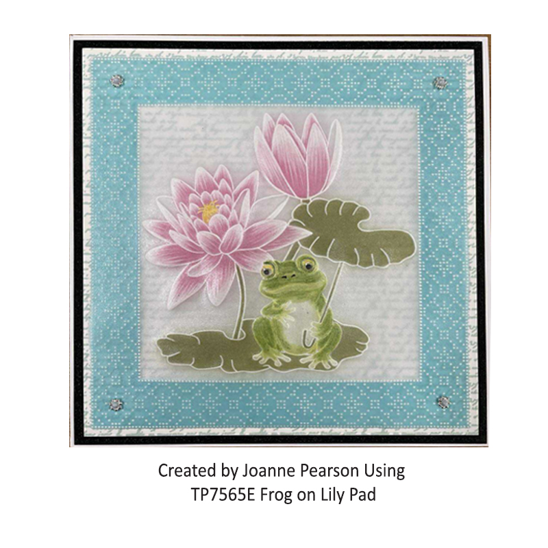 TP7565E Frog on Lily Pad JP 1