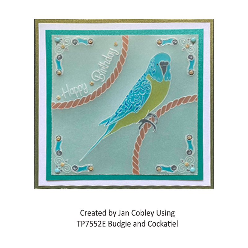 TP7572E Budgie and Cockatiel JC 1
